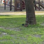 canakkalede patlamamis muhimmat bulundu 04ebc02da4fb