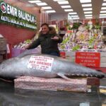 Düzce'de Yakalanan Dev Orkinos Samsun'da Satışa Sunuldu 2 duzcede avlanan 346 kiloluk orkinos samsunda satisa cikarildi b8a1eff457cb