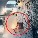 eylem icin lastik yakan gruba kadinlar engel oldu o anlar kamerada e64e1ce7b4bb