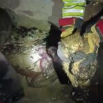 hatayda ev yaninda mahsur kalan kediyi itfaiye kurtardi 16b188f47d50