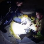 Hatay'da Rögar Kapağında Mahsur Kalan Yavru Köpek İtfaiye Ekiplerince Kurtarıldı 1 hatayda rogarda sikisan yavru kopek kurtarildi 875de9e4b6f7