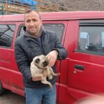 is yerindeki yanginda mahsur kalan yavru kopek kurtarildi a5f11e30da15