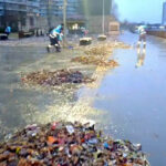 istanbul bakirkoyde lodosla sahile tasinan atiklar temizlendi 4850fb1302ac