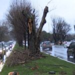 istanbul bakirkoyde ruzgar nedeniyle kopan agac dali otomobilin uzerine dustu 4 arac birbirine girdi 183ef97e8baa