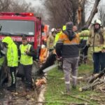 istanbul bakirkoyde ruzgar nedeniyle kopan agac dali otomobilin uzerine dustu 4 arac birbirine girdi 500babcc07ba