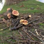 istanbul bakirkoyde ruzgar nedeniyle kopan agac dali otomobilin uzerine dustu 4 arac birbirine girdi 5967a8683b82