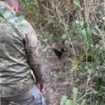 istanbul eyupsultanda miras icin anneannesini olduren torun cinayeti itiraf etti 788289598481