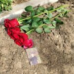 istanbul gungorende 17 yasindaki atlasin oldurulmesiyle ilgili provokatif paylasim yapan 2 supheli daha gozaltina alindi 2efc2b9bd1fa