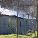 istanbul kucukcekmecede universite bahcesindeki isci konteynerinde cikan yangin sonduruldu 06dcf4f7749c