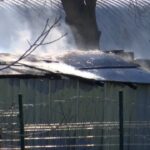 istanbul kucukcekmecede universite bahcesindeki isci konteynerinde cikan yangin sonduruldu 448b8d06382c