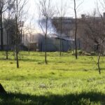 istanbul kucukcekmecede universite bahcesindeki isci konteynerinde cikan yangin sonduruldu 701e551c3df3