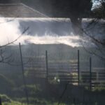 istanbul kucukcekmecede universite bahcesindeki isci konteynerinde cikan yangin sonduruldu c714232df87f