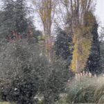 İstanbul'da Yılbaşı Coşkusu Kar Yağışıyla Taçlandı 7 istanbul sariyerde kar yagisi karin keyfini cocuklar cikardi 3 roportajlarla genis haber 0d5d10726c31