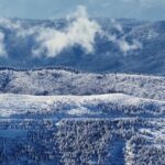 Ödemiş Ormanları Karla Kaplandı, Eşsiz Manzaralar Kameralara Yansıdı 5 izmir odemiste yuksek kesimler beyaza burundu 864c18e917e3