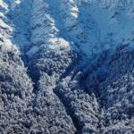 Ödemiş Ormanları Karla Kaplandı, Eşsiz Manzaralar Kameralara Yansıdı 4 izmir odemiste yuksek kesimler beyaza burundu d7c5706ca334