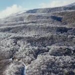 Ödemiş Ormanları Karla Kaplandı, Eşsiz Manzaralar Kameralara Yansıdı 3 izmir odemiste yuksek kesimler beyaza burundu f4dc61e41f21