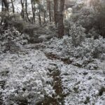 izmirde yeni yilin ilk gununde kar yagisi etkili oldu 275acf36ac1a