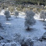 izmirde yeni yilin ilk gununde kar yagisi etkili oldu 4b0dea245859