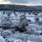 izmirde yeni yilin ilk gununde kar yagisi etkili oldu 4c6d0a0b7775