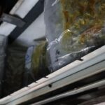 kapikulede 144 kilo 732 gram esrar ele gecirildi 213fee6fcbaf