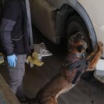 kapikulede 144 kilo 732 gram esrar ele gecirildi 5db244f0cade