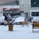 karsta kar nedeniyle 130 koy yolu kapandi 4c88cd6a81d2