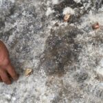 karsta kar nedeniyle 130 koy yolu kapandi e80dc6f1aa91