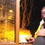 kartepede yiyecek arayan tilkiyi eliyle besledi db5882e32257