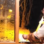 kartepede yiyecek arayan tilkiyi eliyle besledi e31b5497a8d5