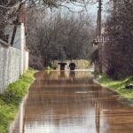 Kayıp olarak aranan kadın, ağaca asılı bulundu 2 kayip olarak aranan kadin agaca asili bulundu bc0e92bc6f90