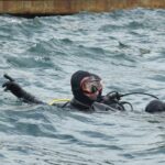 kocaeli buyuksehir belediye baskani buyukakin gebze eskihisarda dalis yapti 1886f5fa0a11