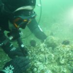 kocaeli buyuksehir belediye baskani buyukakin gebze eskihisarda dalis yapti 47d1244d5f65