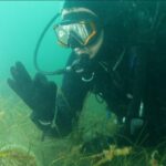 kocaeli buyuksehir belediye baskani buyukakin gebze eskihisarda dalis yapti a1aaf8733cc8