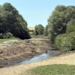 Edirne'de Su Yönetimi İzleme Sistemi ile Tarımsal Sulama Sorunları Çözülmeye Çalışılacak 7 kurakligin yasandigi edirnede tarimsal sulama su yonetimi izleme sistemi ile takip edilecek 10fa3dff68e4