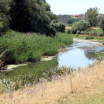 Edirne'de Su Yönetimi İzleme Sistemi ile Tarımsal Sulama Sorunları Çözülmeye Çalışılacak 6 kurakligin yasandigi edirnede tarimsal sulama su yonetimi izleme sistemi ile takip edilecek 2e606dfeb789
