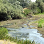 Edirne'de Su Yönetimi İzleme Sistemi ile Tarımsal Sulama Sorunları Çözülmeye Çalışılacak 5 kurakligin yasandigi edirnede tarimsal sulama su yonetimi izleme sistemi ile takip edilecek 5d1cb8538d80