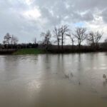 Edirne'de Su Yönetimi İzleme Sistemi ile Tarımsal Sulama Sorunları Çözülmeye Çalışılacak 8 kurakligin yasandigi edirnede tarimsal sulama su yonetimi izleme sistemi ile takip edilecek c9cdd5d88776