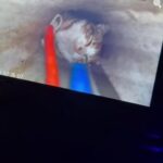 Ayvalık’ta 18 Metre Derinliğindeki Sondaj Kuyusuna Düşen Yavru Kedi İtfaiye Ekipleri Tarafından Kurtarıldı 1 kuyuya dusen yavru kedi 2 saatlik calismayla kurtarildi 43b0a5c32fbf