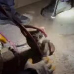 Ayvalık’ta 18 Metre Derinliğindeki Sondaj Kuyusuna Düşen Yavru Kedi İtfaiye Ekipleri Tarafından Kurtarıldı 2 kuyuya dusen yavru kedi 2 saatlik calismayla kurtarildi 52c31bc6b64a