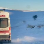 malatyada kardan kapanan 66 yerlesim yeri ulasima acildi acil hastalar saglikcilara ulastirildi 5cdc6550416f