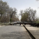 marmaranin batisi icin firtina uyarisi e0fcbc83ea0f