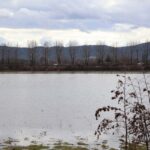 mentesede saganak metrekareye 2 gunde 60 kilogram yagis dustu 2c4971395d5b