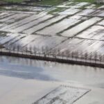 mentesede saganak metrekareye 2 gunde 60 kilogram yagis dustu 5a4014852b27