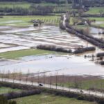 mentesede saganak metrekareye 2 gunde 60 kilogram yagis dustu eac95fb0318b