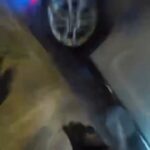 motosikletin aniden yola cikan cipe carptigi kaza kask kamerasinda befa9ece16e8