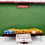 msb vanda 509 kilo uyusturucu ele gecirildi 09fccaf49652