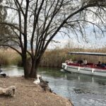 Akyaka Mahallesi, BM tarafından 2025'in en iyi turizm köyleri listesine girmeyi başardı 2 nasanin paylastigi akyaka bmnin en iyi turizm koyleri listesinde fe3e5386ecfc