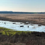 sicakligin eksi 8 dereceye dustugu edirnede tunca nehri ve golet buz tuttu 5e152294f1ce