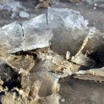 sicakligin eksi 8 dereceye dustugu edirnede tunca nehri ve golet buz tuttu 7c5d7b4dc3a1