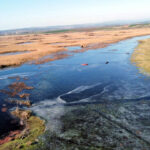 sicakligin eksi 8 dereceye dustugu edirnede tunca nehri ve golet buz tuttu bb9276defe22